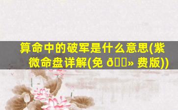 算命中的破军是什么意思(紫微命盘详解(免 🌻 费版))